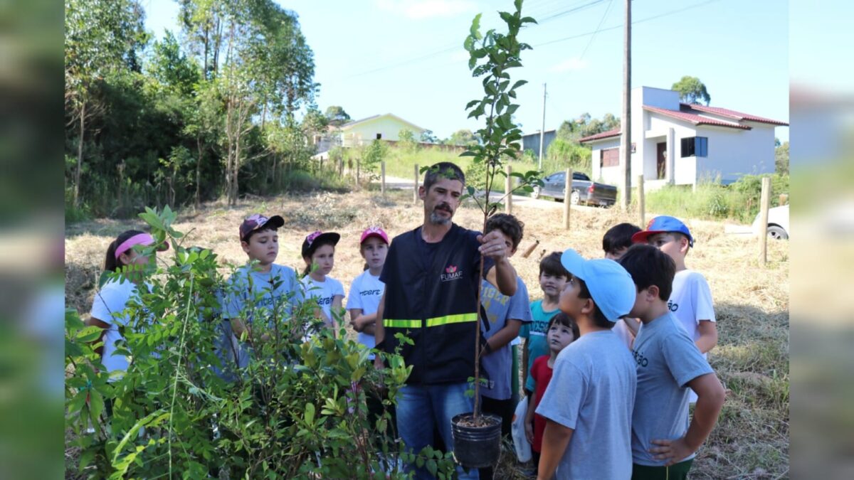 Semana do Meio Ambiente: Fumaf traz programação diversa em Morro da Fumaça