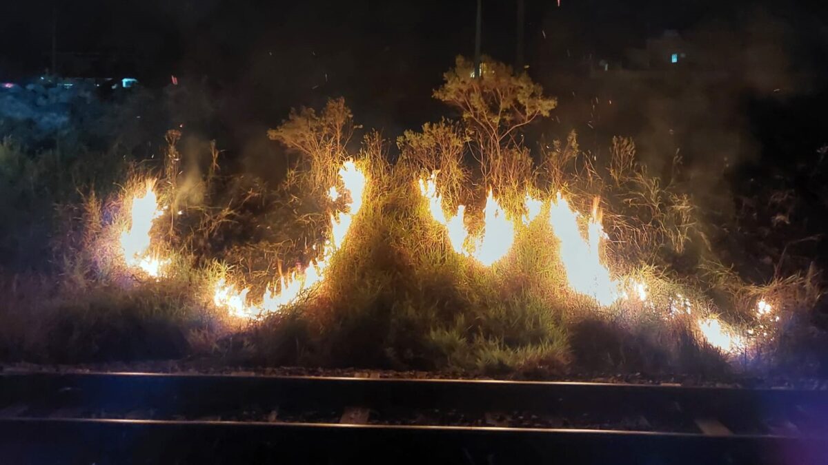 Bombeiros controlam fogo em vegetação em Morro da Fumaça