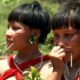Censo 2022: Morro da Fumaça tem oito moradores indígenas