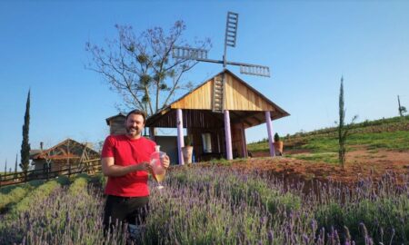 Plantação de lavanda e alecrim em Linha Torrens será transformada em produtos cosméticos