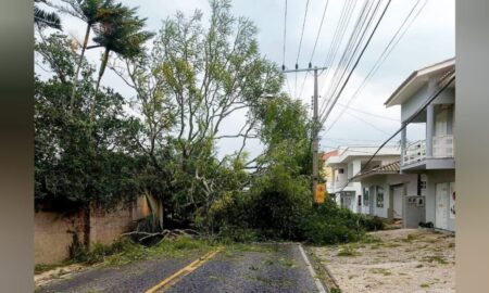 Vendaval causa problemas em Morro da Fumaça