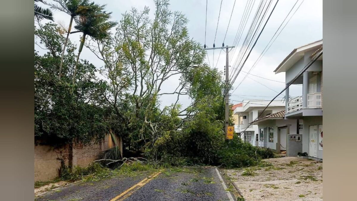 Vendaval causa problemas em Morro da Fumaça