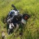 Polícia Militar de Morro da Fumaça recupera moto furtada em revenda