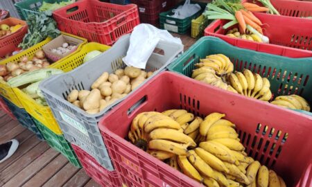 Feira da Agricultura Familiar de Morro da Fumaça retoma as atividades nesta quarta-feira