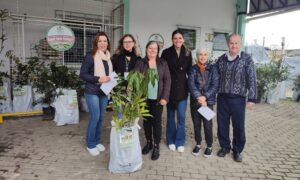 Agricultura fumacense realiza entrega de aproximadamente 600 mudas frutíferas e ornamentais