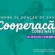 Cooperação Corre nas Veias: Sicoob Credija lança terceira edição da campanha de doação de sangue