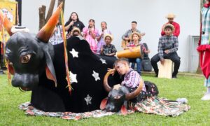 Unesc celebra o Dia da Extensão com números impressionantes e ações transformadoras para a comunidade