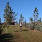Corrida MF Run reúne mais de 400 atletas com trajeto de belas paisagens em Morro da Fumaça
