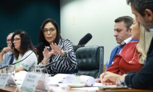 Brasília debate futuro da APA da Baleia Franca em audiência pública na Câmara dos Deputados