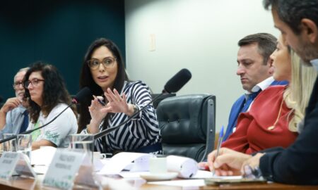 Brasília debate futuro da APA da Baleia Franca em audiência pública na Câmara dos Deputados