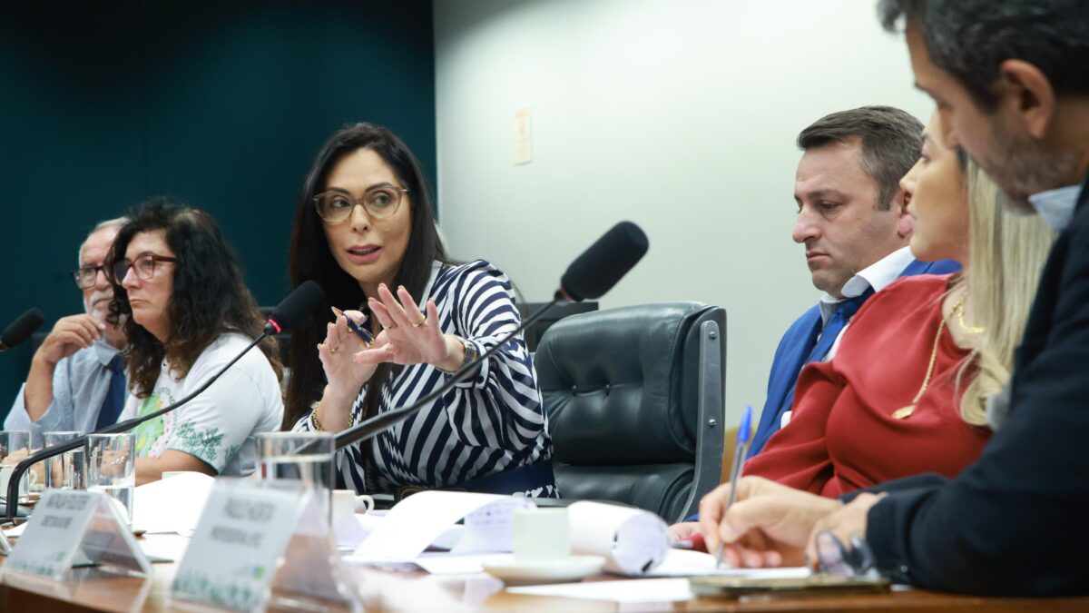 Brasília debate futuro da APA da Baleia Franca em audiência pública na Câmara dos Deputados