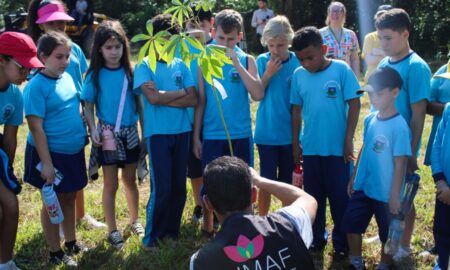 Morro da Fumaça terá programação intensa de atividades na Semana do Meio Ambiente