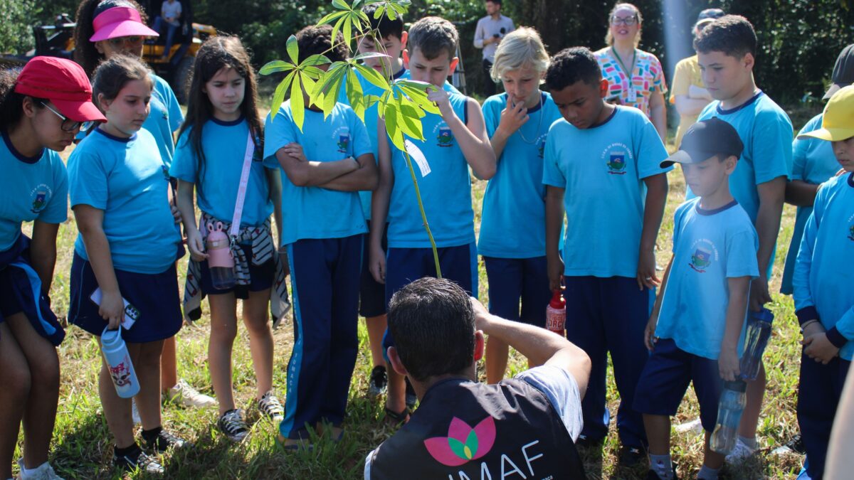 Morro da Fumaça terá programação intensa de atividades na Semana do Meio Ambiente
