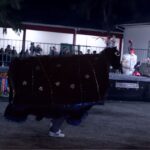 Encantaboi conquista público na Festa Junina da Escola Princesa Isabel