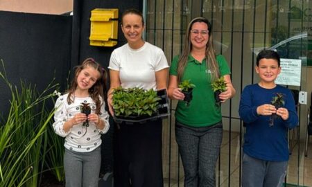 Doação de mudas celebra o mês do Meio Ambiente com incentivo ao plantio nativo