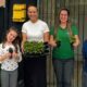 Doação de mudas celebra o mês do Meio Ambiente com incentivo ao plantio nativo