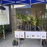 “Uma árvore, mil benefícios”: evento em Estação Cocal entrega 100 mudas à comunidade