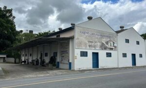Consulta pública discutirá execução da Política Nacional Aldir Blanc em Morro da Fumaça
