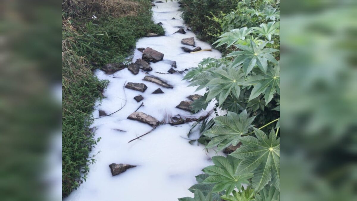 Espuma misteriosa no Rio Linha Torrens chama atenção em Morro da Fumaça