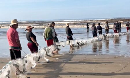 Lanço de tainha chama atenção e anima pescadores em Balneário Esplanada