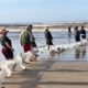 Lanço de tainha chama atenção e anima pescadores em Balneário Esplanada
