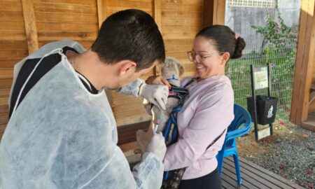 Campanha de Vacinação e Aplicação de Vermífugo beneficia mais de 320 animais
