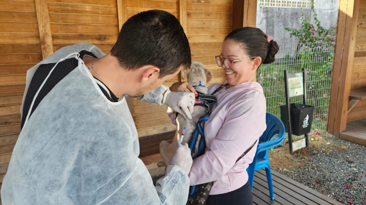 Campanha de Vacinação e Aplicação de Vermífugo beneficia mais de 320 animais