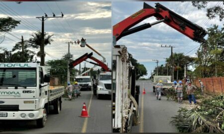Cermoful inicia novo cronograma de poda preventiva para proteção da rede elétrica