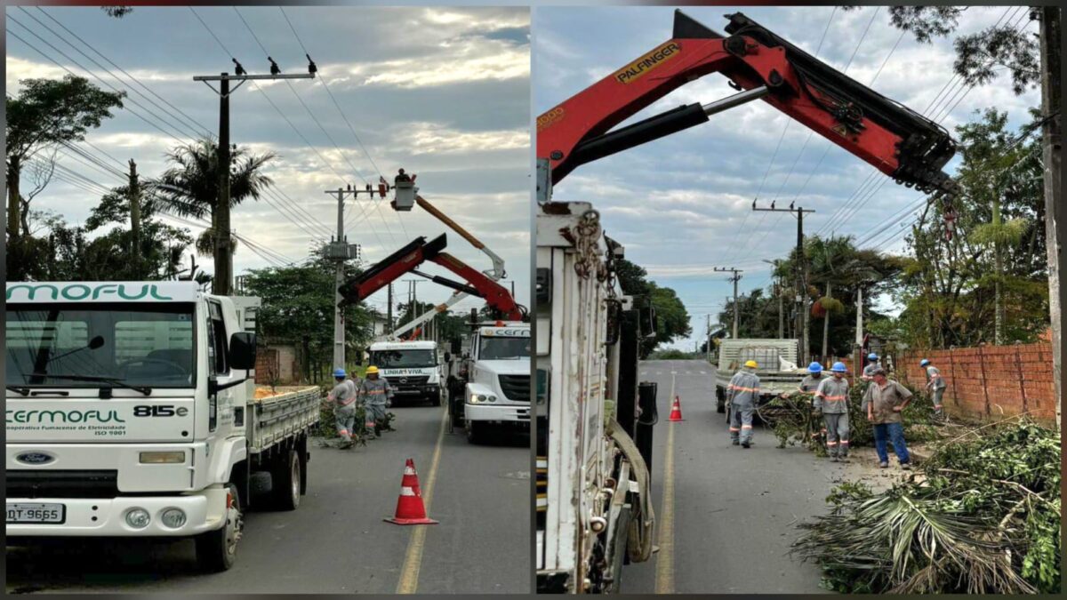 Cermoful inicia novo cronograma de poda preventiva para proteção da rede elétrica