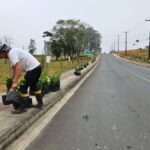 Comunidade de Linha Torrens amplia projeto de paisagismo com plantio de flores e árvores