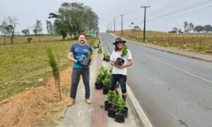Comunidade de Linha Torrens amplia projeto de paisagismo com plantio de flores e árvores