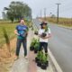 Comunidade de Linha Torrens amplia projeto de paisagismo com plantio de flores e árvores