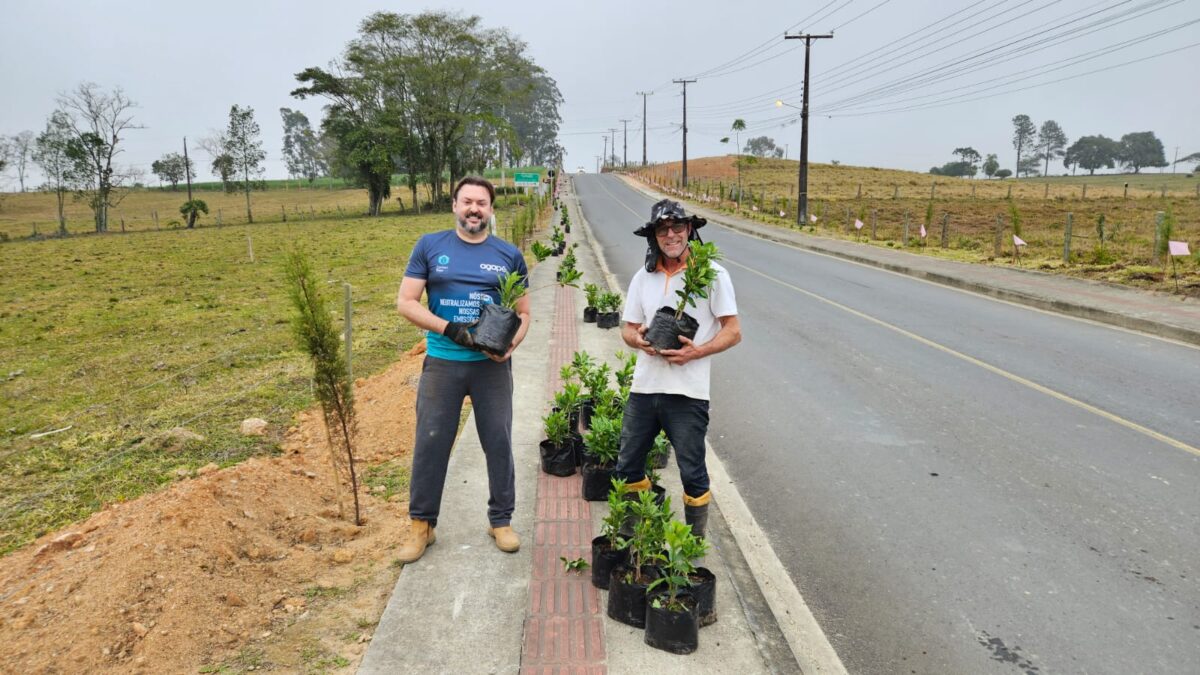 Comunidade de Linha Torrens amplia projeto de paisagismo com plantio de flores e árvores
