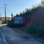 Comunidade de Linha Torrens amplia projeto de paisagismo com plantio de flores e árvores