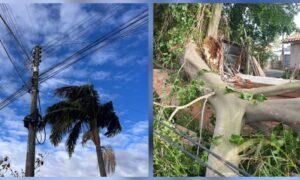 Cermoful dá pronta resposta a estragos provocados por um ciclone extratropical