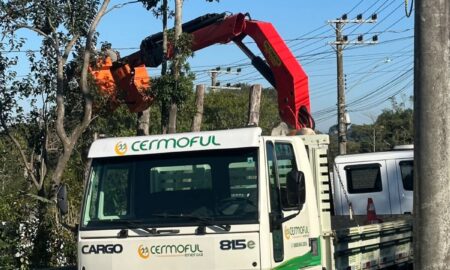 Cermoful realiza poda preventiva e assegura descarte sustentável da vegetação