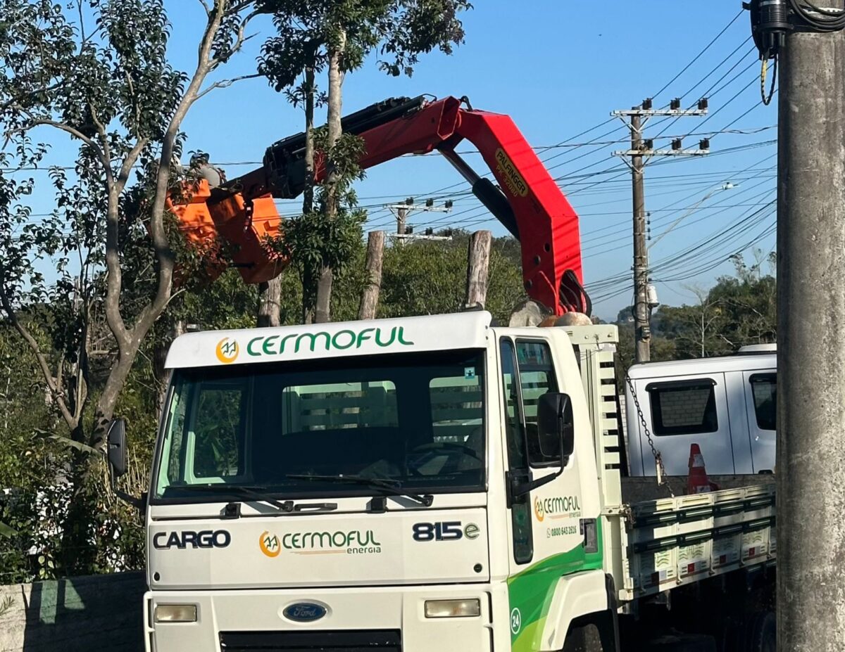 Cermoful realiza poda preventiva e assegura descarte sustentável da vegetação