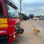 Veículo pega fogo na Rodovia Olívio Cechinel