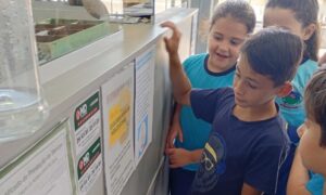 Alunos da Escola Biázio Maragno se classificam para a 2ª fase da Olimpíada Mirim - OBMEP 2025
