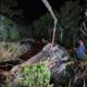 Grave acidente deixa homem morto na Rodovia Genésio Mazon