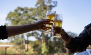 Cultura fumacense e Associação Trevisani Nel Mondo realizam 1º Festival de Cerveja Artesanal com música e gastronomia