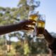 Cultura fumacense e Associação Trevisani Nel Mondo realizam 1º Festival de Cerveja Artesanal com música e gastronomia