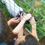 Alunos fumacenses conhecem Centro de Bem-Estar Animal em ação de conscientização da causa animal