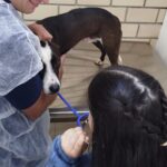 Alunos fumacenses conhecem Centro de Bem-Estar Animal em ação de conscientização da causa animal
