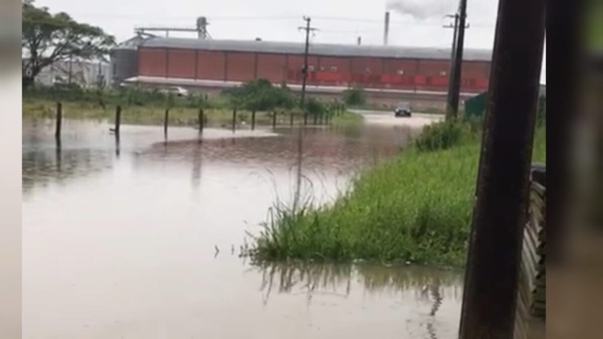 Chuva forte causa alagamento no Bairro Capelinha em Morro da Fumaça 1 Chuva forte causa alagamento no Bairro Capelinha em Morro da Fumaça