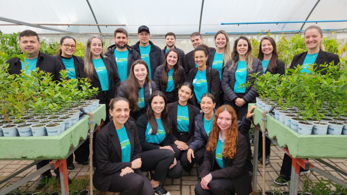 Sicoob Credija fortalece compromisso com a sustentabilidade por meio da formação de colaboradores