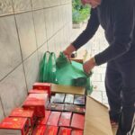 Residência de João Graciano recebe iluminação que virou símbolo do Natal em Morro da Fumaça