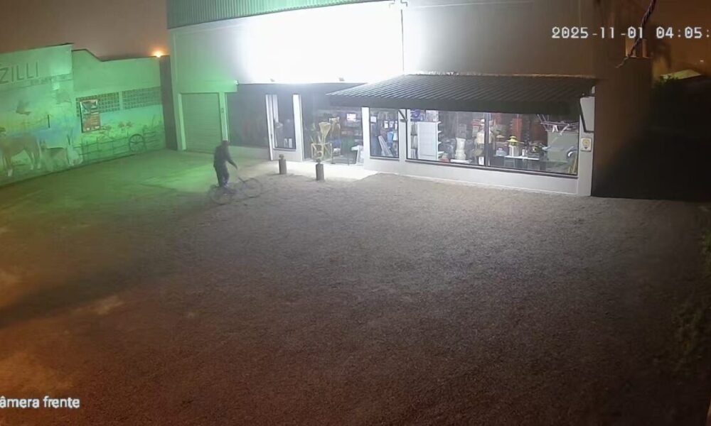 Loja agropecuária é alvo de furto durante a madrugada em Morro da Fumaça