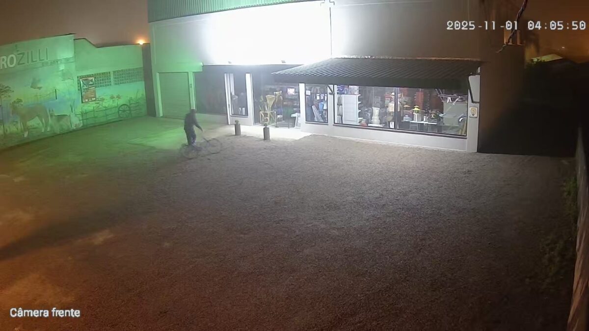 Loja agropecuária é alvo de furto durante a madrugada em Morro da Fumaça