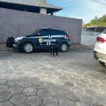 Polícias Civil e Militar resgatam animal abandonado no bairro Graziela 2 Polícias Civil e Militar resgatam animal abandonado no bairro Graziela